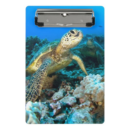 Mini Porte-bloc Paires de tortue (Devant)