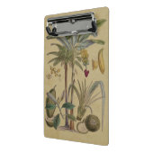 Mini Porte-bloc Palm Antique Fruit Tropical Art Botanique (Angle2)