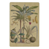 Mini Porte-bloc Palm Antique Fruit Tropical Art Botanique (Dos)