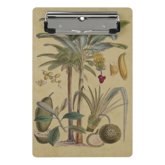 Mini Porte-bloc Palm Antique Fruit Tropical Art Botanique (Devant)