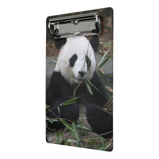 Mini Porte-bloc Panda géant (Angle2)