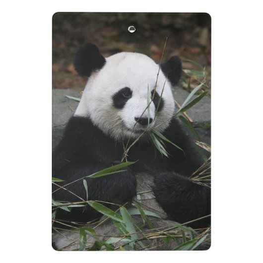 Mini Porte-bloc Panda géant (Dos)