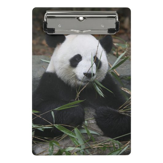 Mini Porte-bloc Panda géant (Devant)