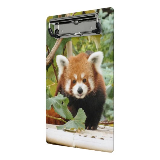 Mini Porte-bloc Panda rouge (Angle2)