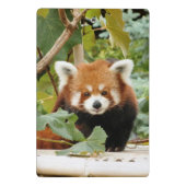Mini Porte-bloc Panda rouge (Dos)