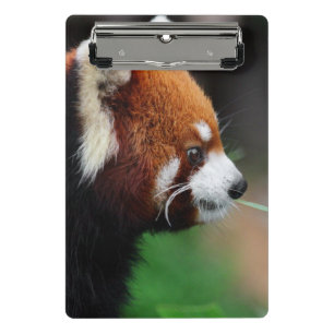 Mini Porte-bloc Panda rouge