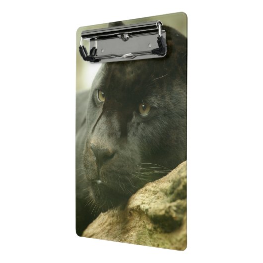 Mini Porte-bloc Panthère noire (Angle2)