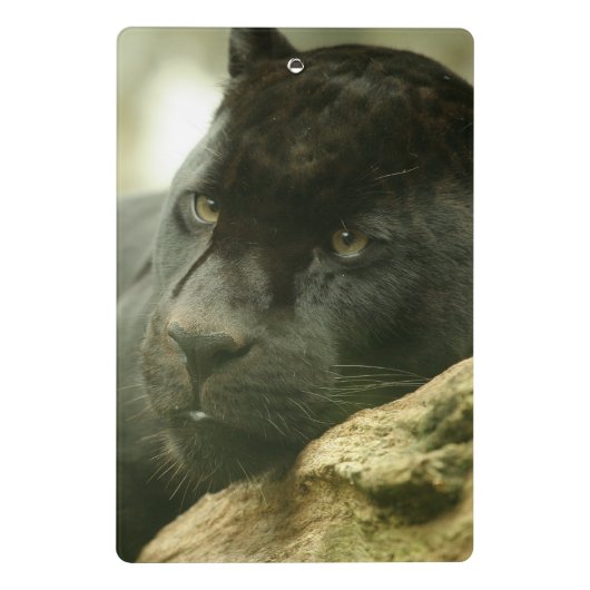 Mini Porte-bloc Panthère noire (Dos)