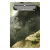 Mini Porte-bloc Panthère noire (Devant)