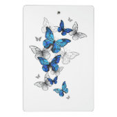 Mini Porte-bloc Papillons volants bleus Morpho (Dos)