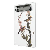 Mini Porte-bloc Paruline audubon ornithologique à châtaignes sur F (Angle2)