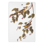 Mini Porte-bloc Paruline carbonée Audubon Oiseau (Dos)