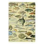 Mini Porte-bloc Pêche scientifique vintage (Dos)