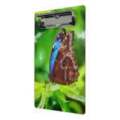 Mini Porte-bloc Peinture à papillon (Angle2)