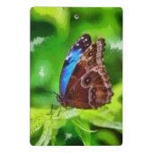 Mini Porte-bloc Peinture à papillon (Dos)