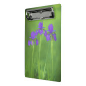 Mini Porte-bloc Peinture Iris Violet - Art Fleur Originale (Angle2)