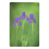 Mini Porte-bloc Peinture Iris Violet - Art Fleur Originale (Dos)