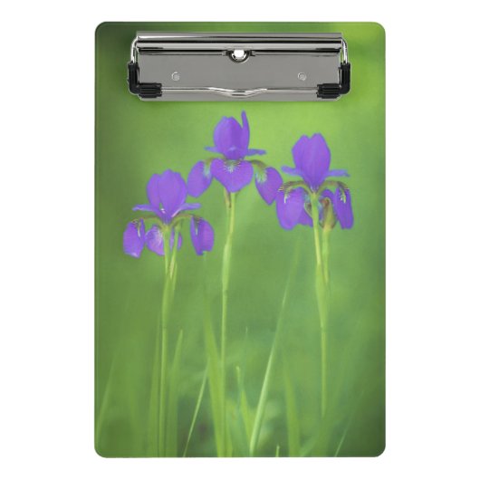 Mini Porte-bloc Peinture Iris Violet - Art Fleur Originale (Devant)