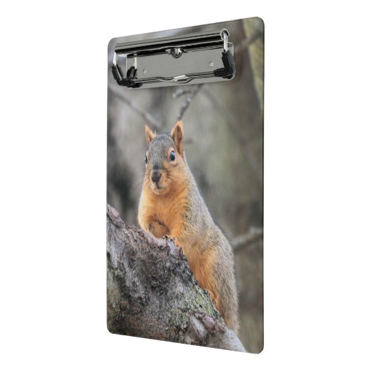 Mini Porte-bloc Pénal (Angle2)