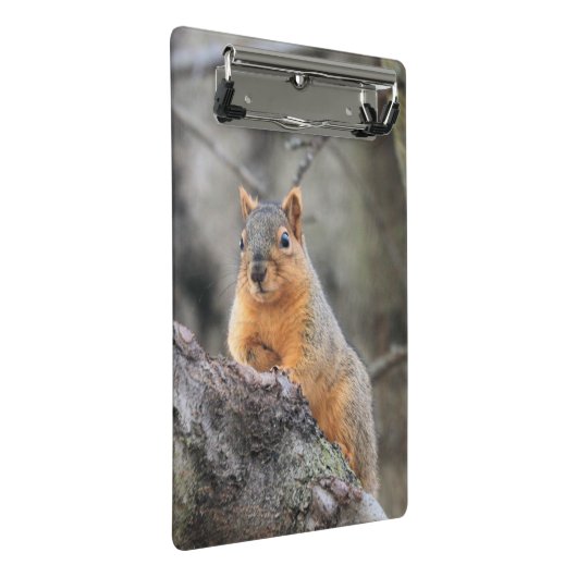 Mini Porte-bloc Pénal (Incliné)