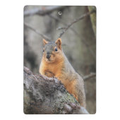 Mini Porte-bloc Pénal (Dos)