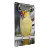 Mini Porte-bloc Perruche pelucheuse de Ringneck d'Indien de Lutino (Incliné)