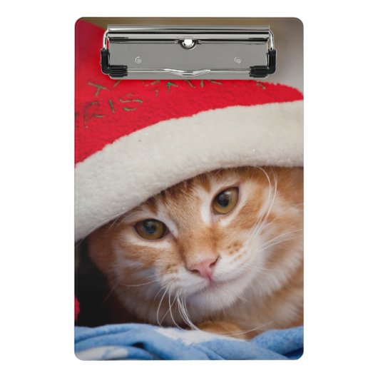 Mini Porte-bloc Petit chaton dans le casquette rouge de Noël (Devant)