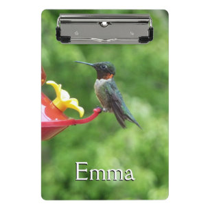 Mini Porte-bloc Photographie d'oiseaux Colibri à gorge rubis