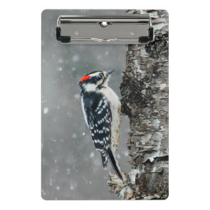 Mini Porte-bloc Pic Downy en neige - Photo originale