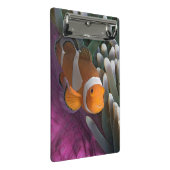 Mini Porte-bloc Poisson clown occidental (Incliné)