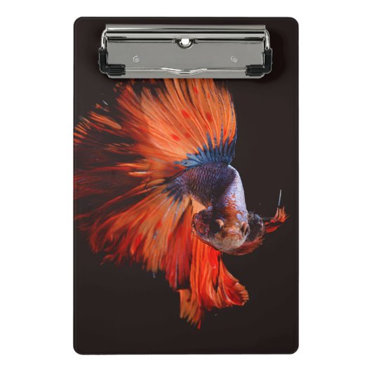 Mini Porte-bloc Poisson combattant (Devant)