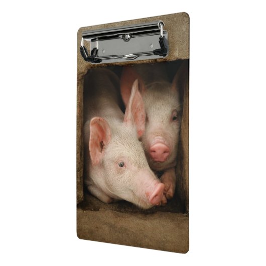 Mini Porte-bloc Porcelets curieux (Angle2)