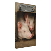 Mini Porte-bloc Porcelets curieux (Incliné)