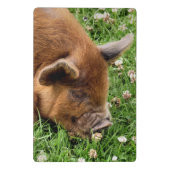 MINI PORTE-BLOC PORTE - BLOC PIG CUT (Dos)