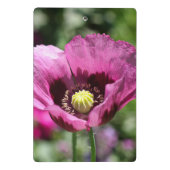 Mini Porte-bloc Porte - bloc pourpre (Dos)