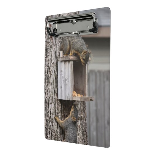 Mini Porte-bloc Porte - blocs d'écureuils (Angle2)