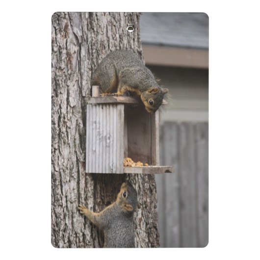 Mini Porte-bloc Porte - blocs d'écureuils (Dos)