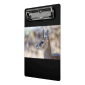 Mini Porte-bloc Portrait Klipspringer (Angle2)