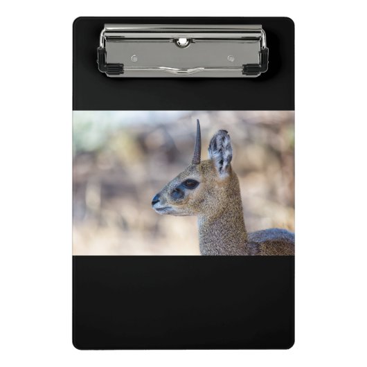 Mini Porte-bloc Portrait Klipspringer (Devant)