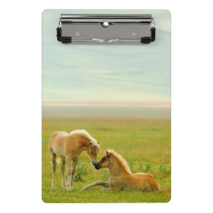 Mini Porte-bloc Poulains de cheval