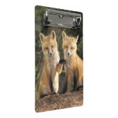 Mini Porte-bloc Poupe Red Fox devant den Vulpes vulpes (Incliné)
