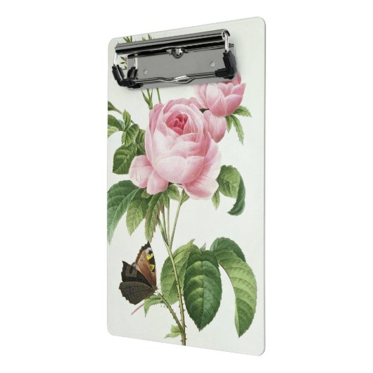 Mini Porte-bloc Rosa Centifolia (Angle2)