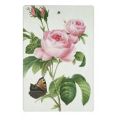 Mini Porte-bloc Rosa Centifolia (Dos)