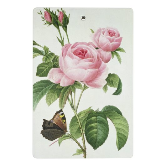 Mini Porte-bloc Rosa Centifolia (Dos)