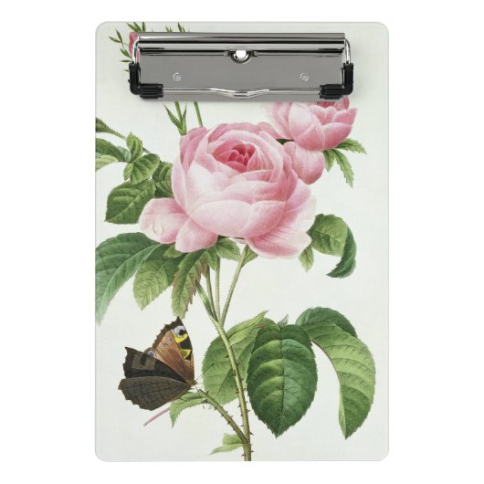 Mini Porte-bloc Rosa Centifolia (Devant)