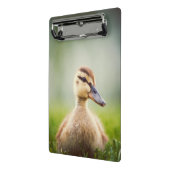 Mini Porte-bloc Se pencher de Mallard de bébé (Angle2)