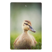 Mini Porte-bloc Se pencher de Mallard de bébé (Dos)