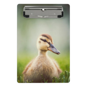 Mini Porte-bloc Se pencher de Mallard de bébé