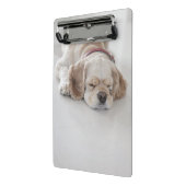 Mini Porte-bloc Sommeil de chien de cocker (Angle2)
