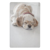 Mini Porte-bloc Sommeil de chien de cocker (Dos)